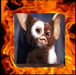 gismo40